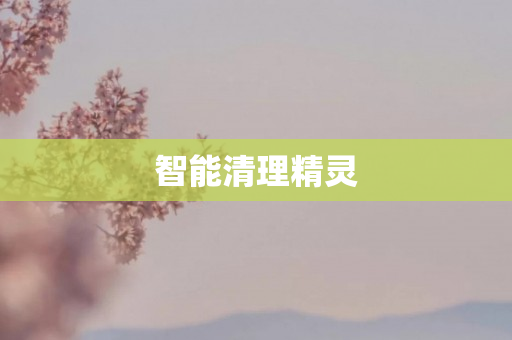 智能清理精灵
