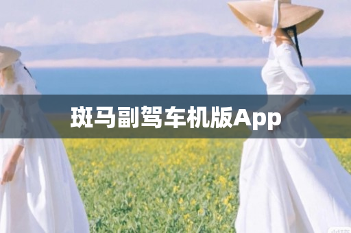 斑马副驾车机版App