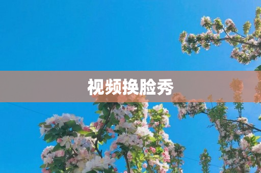 视频换脸秀