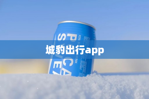 城豹出行app