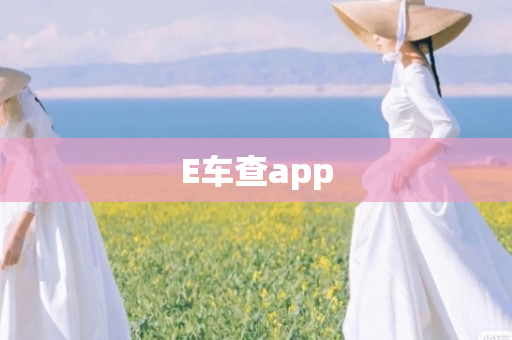 E车查app