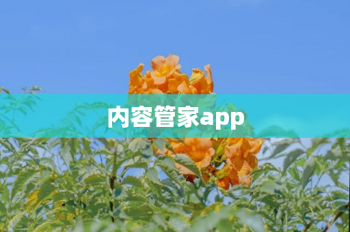 内容管家app