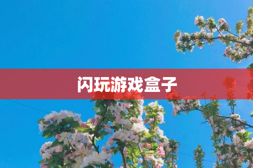 闪玩游戏盒子