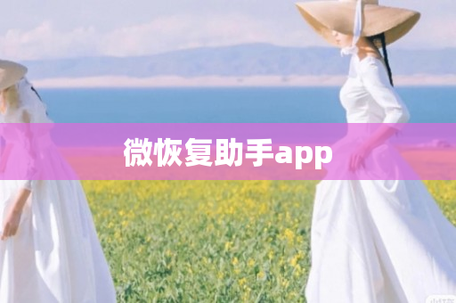 微恢复助手app