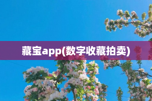 藏宝app(数字收藏拍卖)