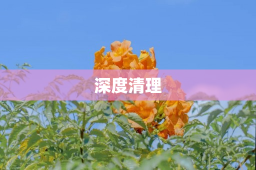深度清理
