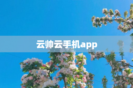 云帅云手机app