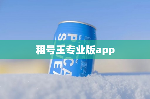 租号王专业版app