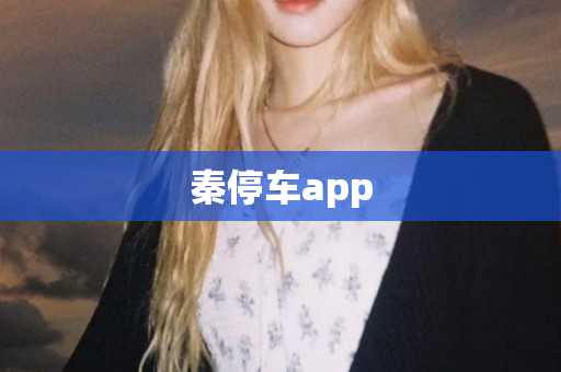 秦停车app