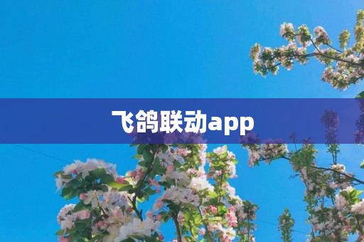 飞鸽联动app