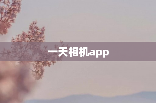 一天相机app