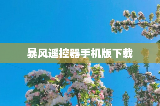 暴风遥控器手机版下载