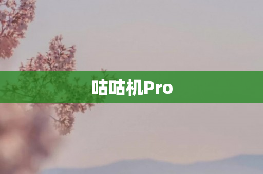 咕咕机Pro