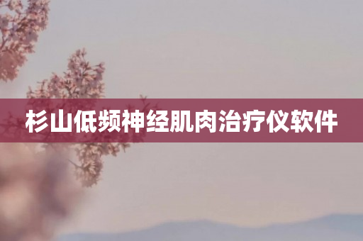 杉山低频神经肌肉治疗仪软件