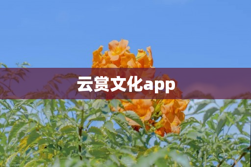云赏文化app