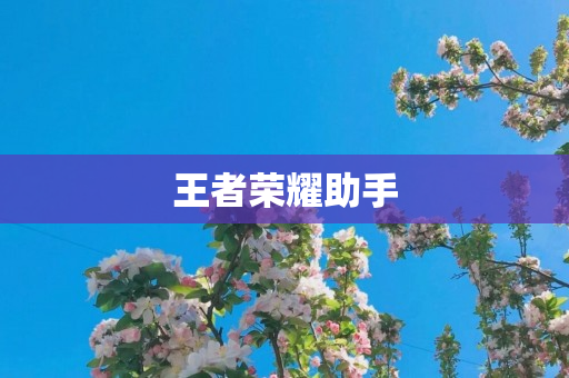 王者荣耀助手