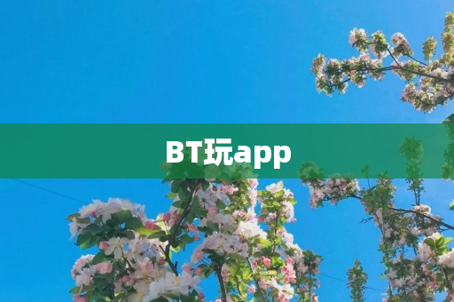 BT玩app