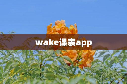 wake课表app