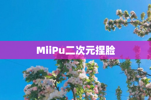 MiiPu二次元捏脸