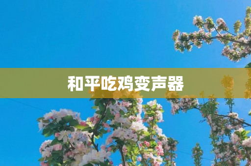 和平吃鸡变声器