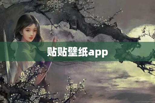 贴贴壁纸app