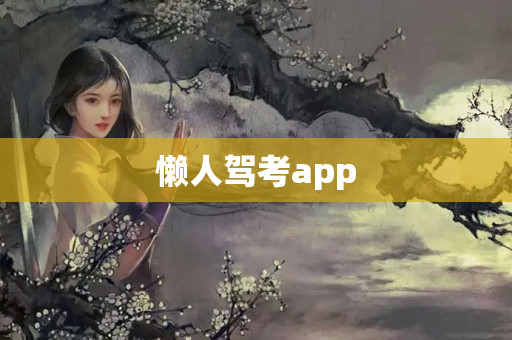 懒人驾考app