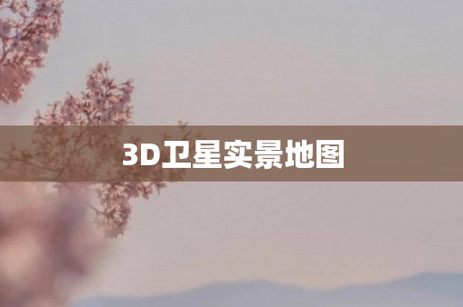 3D卫星实景地图