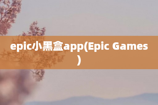 epic小黑盒app(Epic Games)