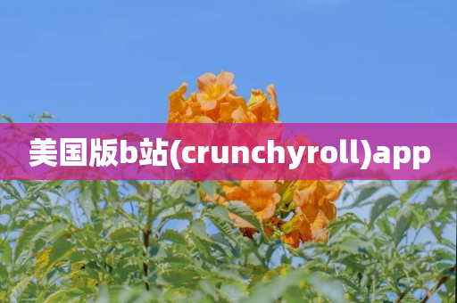 美国版b站(crunchyroll)app