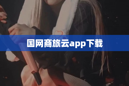 国网商旅云app下载