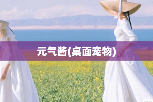 元气酱(桌面宠物)