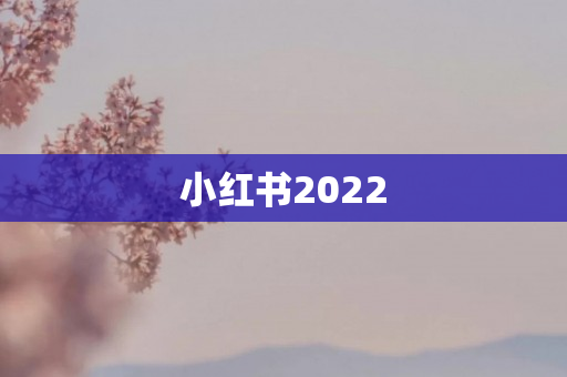 小红书2022