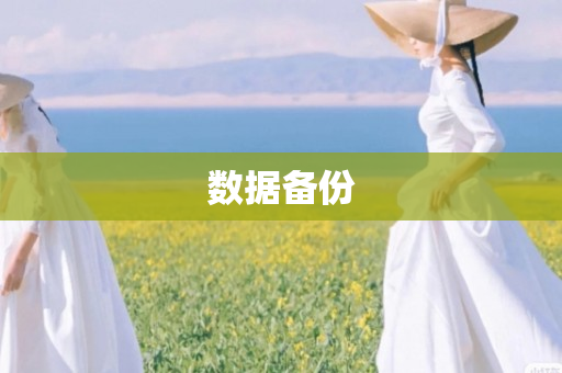 数据备份