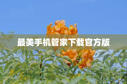 最美手机管家下载官方版