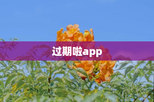 过期啦app