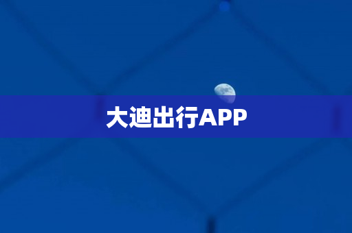 大迪出行APP
