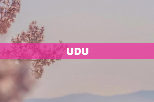 UDU