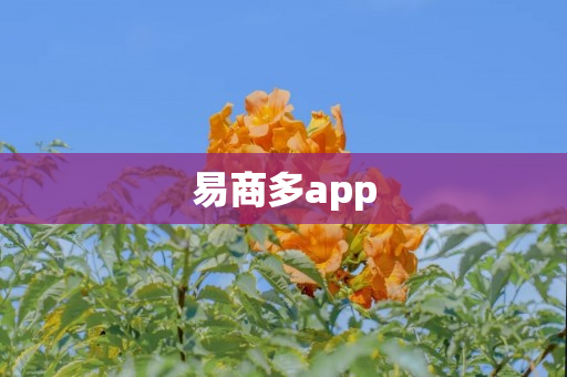 易商多app
