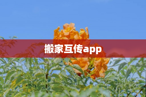 搬家互传app