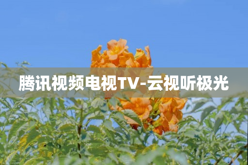 腾讯视频电视TV-云视听极光