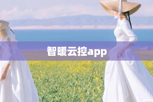 智暖云控app