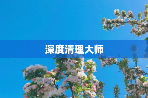 深度清理大师