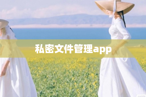 私密文件管理app