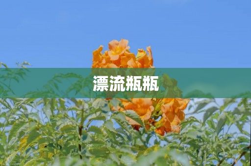 漂流瓶瓶