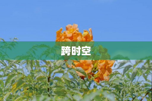跨时空