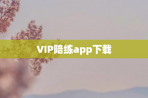 VIP陪练app下载