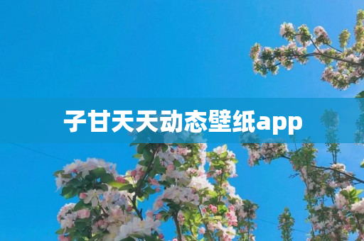 子甘天天动态壁纸app