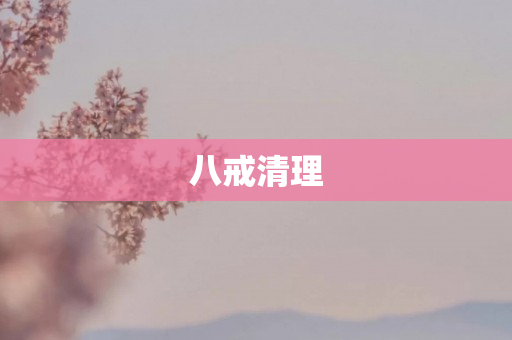 八戒清理