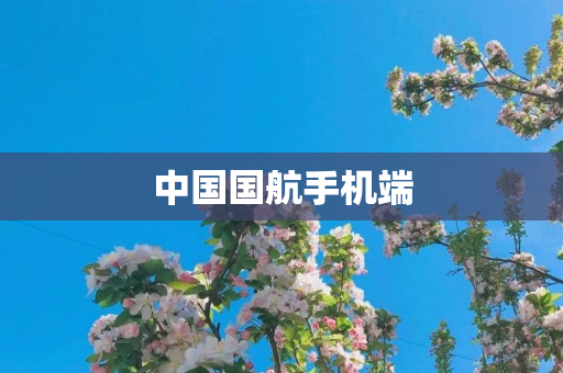 中国国航手机端