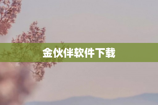 金伙伴软件下载